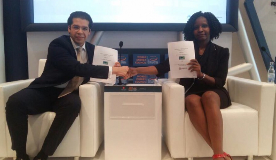 Asamblea del Consejo Mundial de Energía