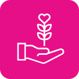 imagen dona despensa